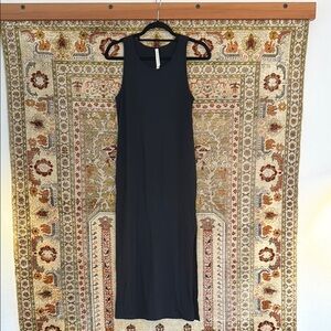The group Babaton sleeveless Dress
